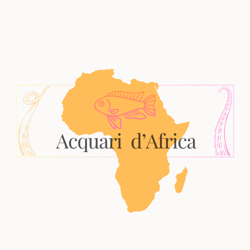 Acquari d'Africa